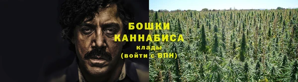 гашик Надым