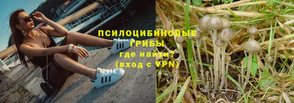 гашик Надым
