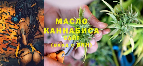 гашик Надым