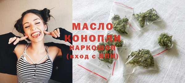 гашик Надым