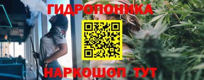 PSILOCYBIN Волжский