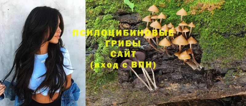 Галлюциногенные грибы Cubensis  Воронеж 