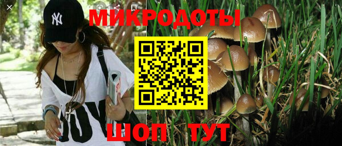 Псилоцибиновые грибы Magic Shrooms  Псилоцибиновые грибы MAGIC MUSHROOMS  Вход с VPN  Воронеж 