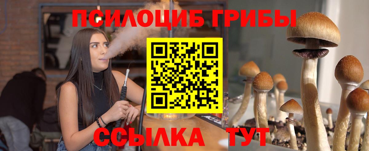 Меф   Конопля  Вход с VPN  Codein  Воронеж  ГАШ  КОКАИН  Экстази 